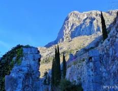 IM体育App下载-蒙特內哥羅隊主場告捷晉級下一輪的简单介绍