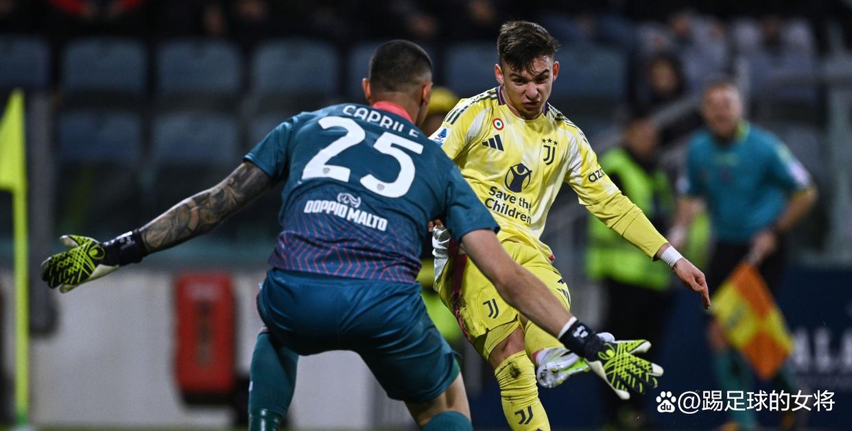 IM体育注册链接-佛罗伦萨主场取胜维罗纳，积分不断累积的简单介绍