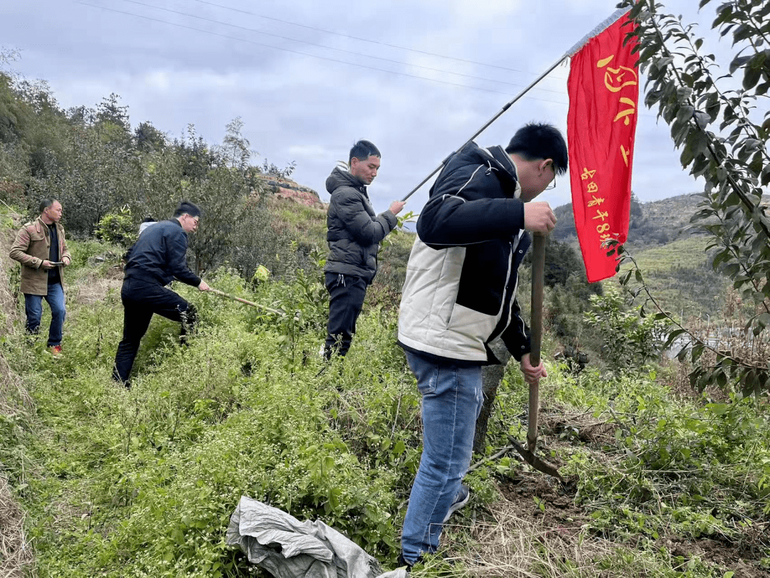 IM体育官网-摩尔多瓦队火力全开,不惧强敌取胜的简单介绍