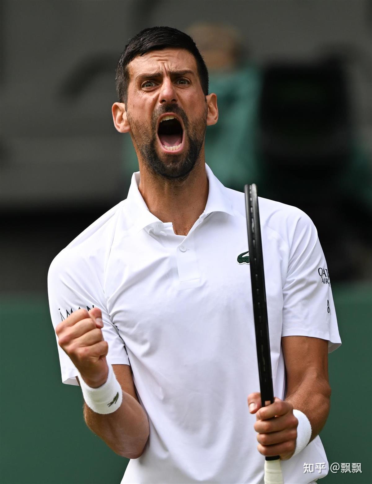 IM体育官方平台-拉沃尔杯险胜温网，德约科维奇扛起全队的简单介绍